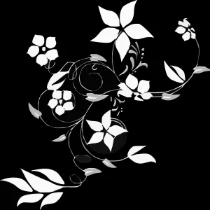 Black & White Copies